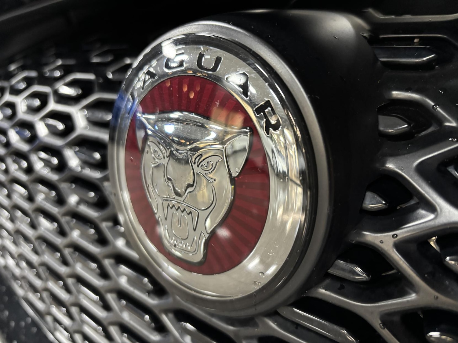 Used Jaguar I-Pace 2019 for sale - 77213848: Photo 12