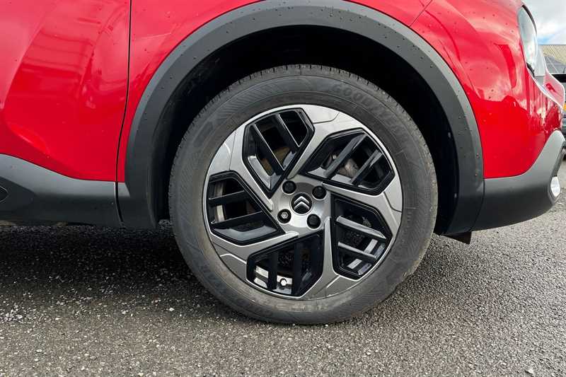 Used Citroen C4 2023 for sale - 77887322: Photo 11