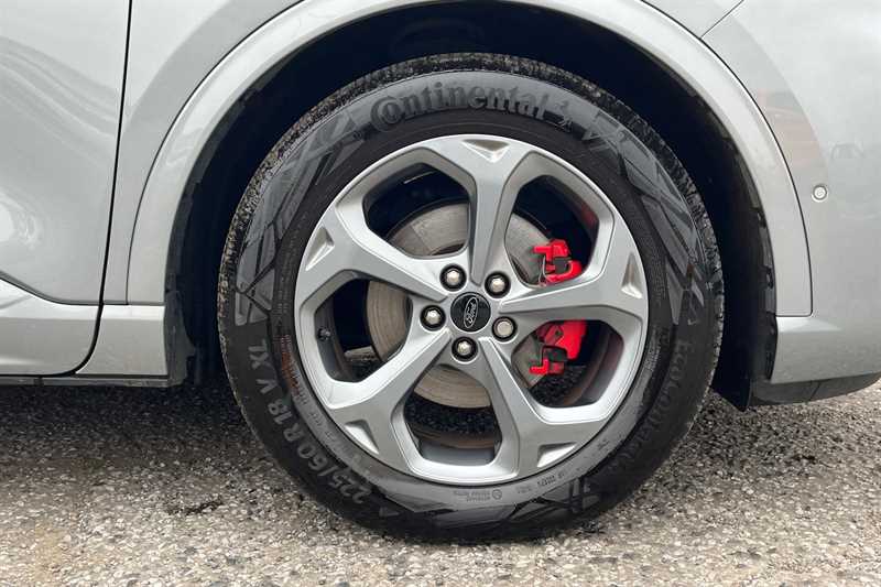 Used Ford Kuga 2024 for sale - 77309936: Photo 11