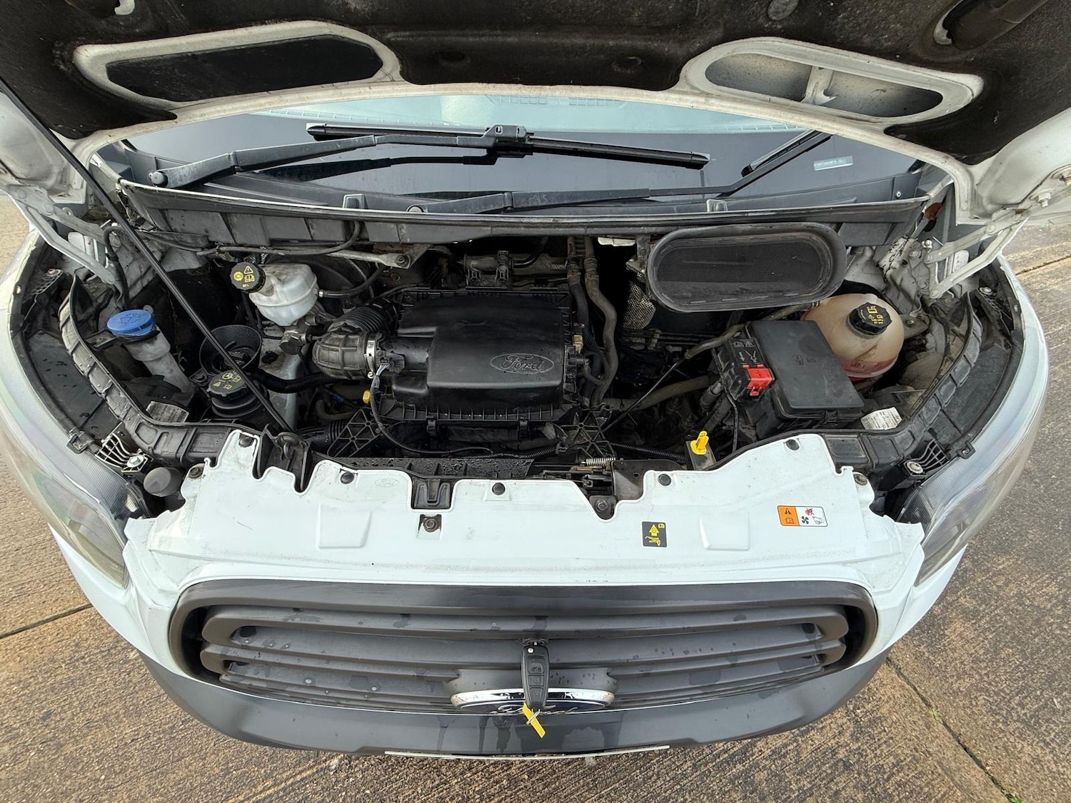 Used Ford Transit 2019 for sale - 77351262: Photo 29