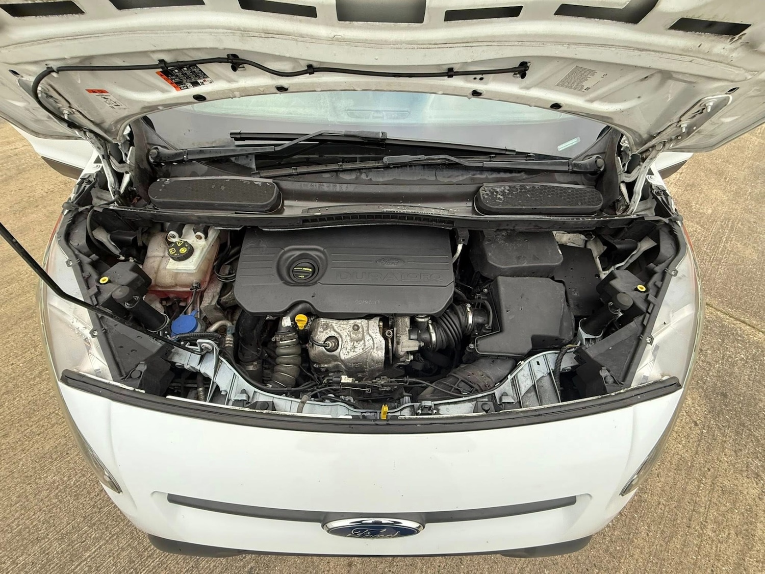 Used Ford Transit Connect 2018 for sale - 77069122: Photo 33