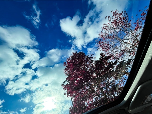 Used Nissan Qashqai 2018 for sale - 76837609: Photo 22