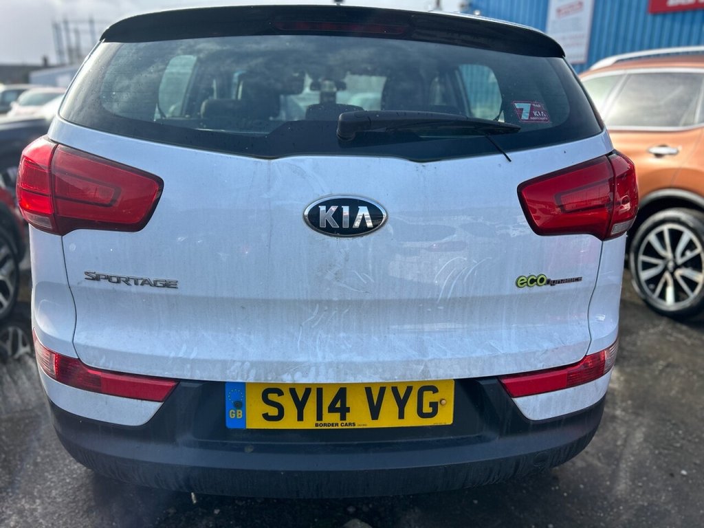 Used Kia Sportage 2014 for sale - 77654665: Photo 4