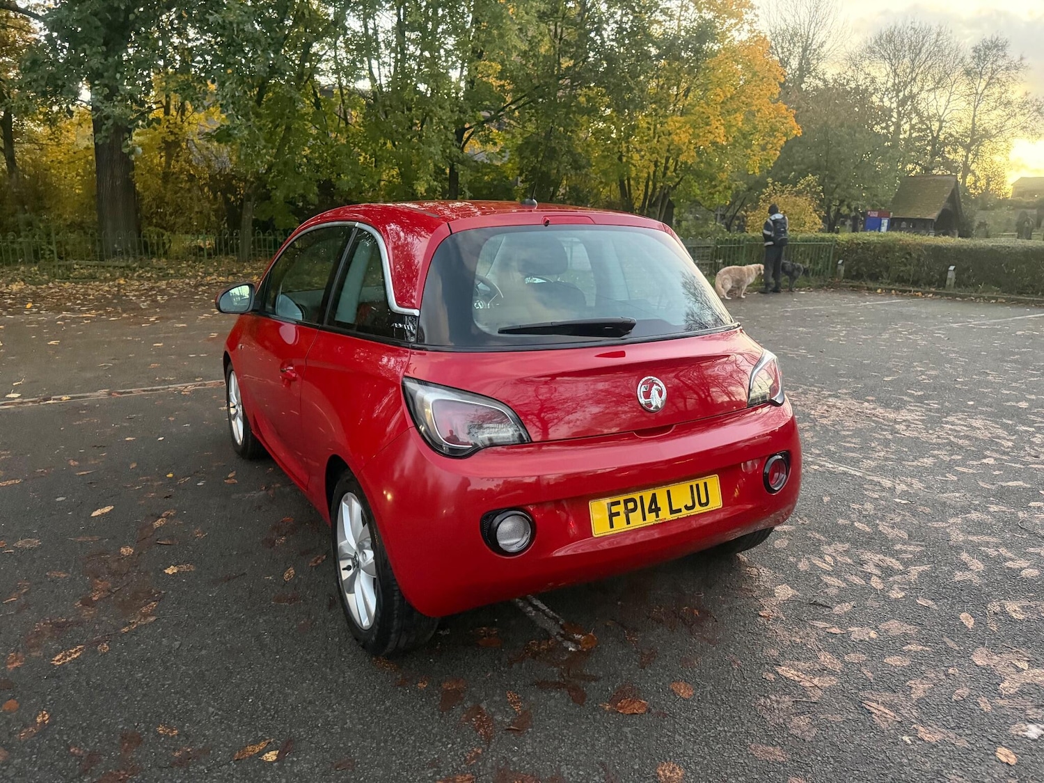 Used Vauxhall ADAM 2014 for sale - 76409129: Photo 10