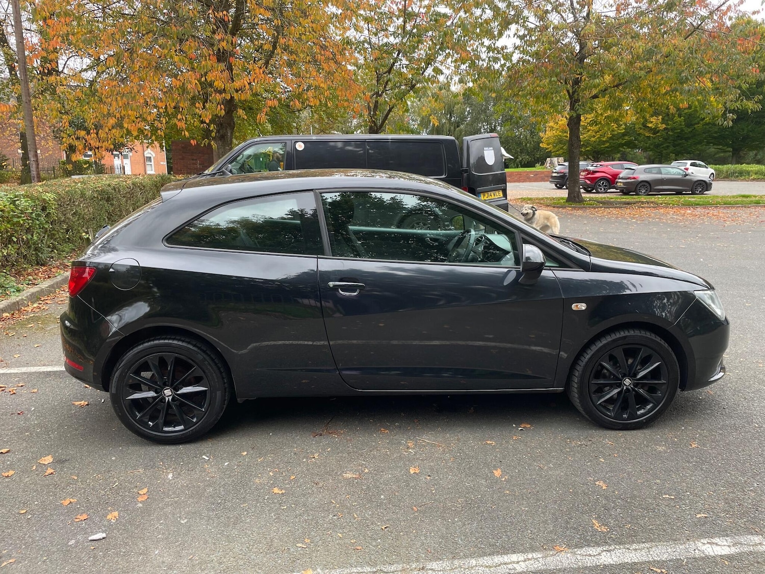 Used SEAT Ibiza 2014 for sale - 76282927: Photo 8