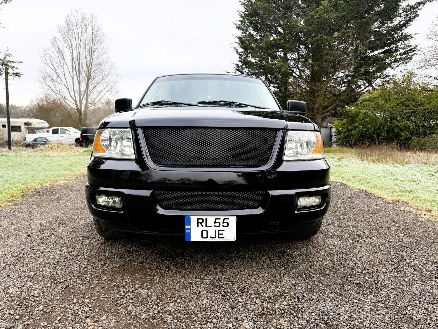 Used Ford Expedition for sale - 74025486: Photo 2