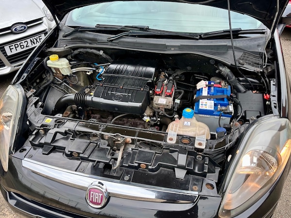 Used Fiat Punto Evo 2011 for sale - 74641971: Photo 11