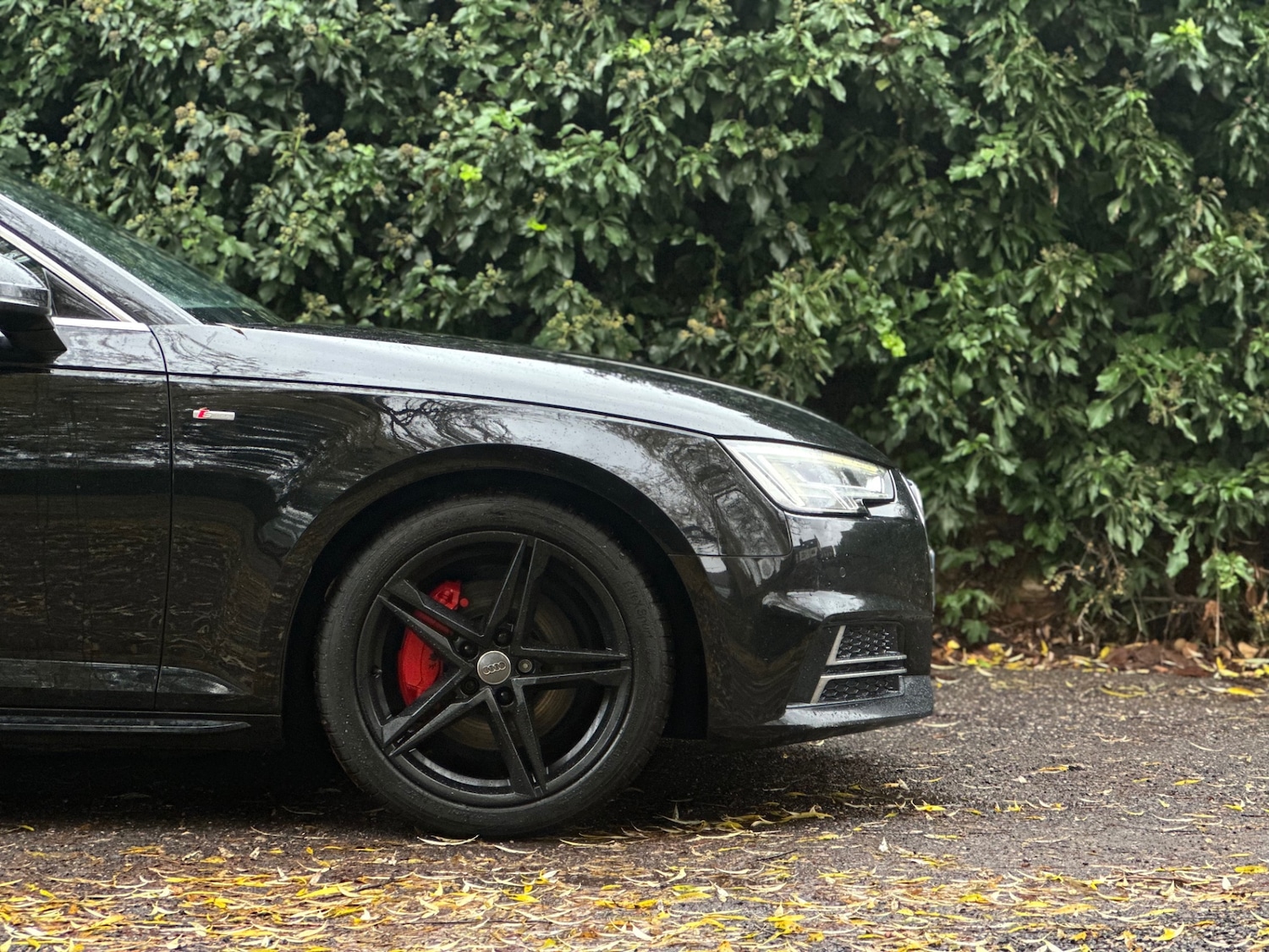 Used Audi A4 2017 for sale - 76891644: Photo 10