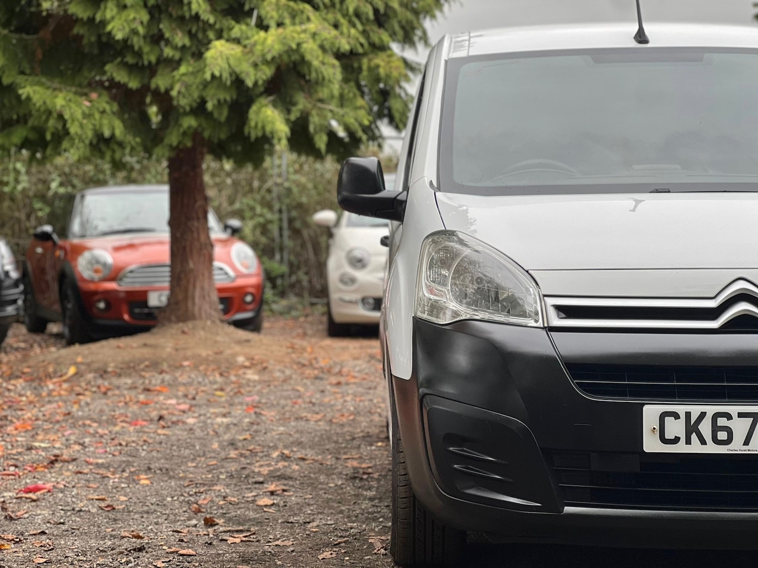 Used Citroen Berlingo 2017 for sale - 76302194: Photo 2