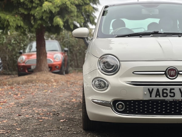 Used Fiat 500 2015 for sale - 76281055: Photo 2
