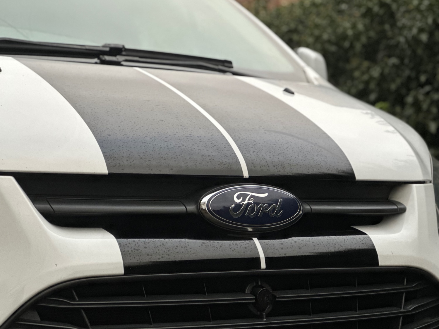 Used Ford Transit Custom 2017 for sale - 77084238: Photo 11