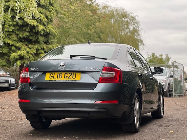 Used Skoda Octavia 2016 for sale - 76281059: Photo 5