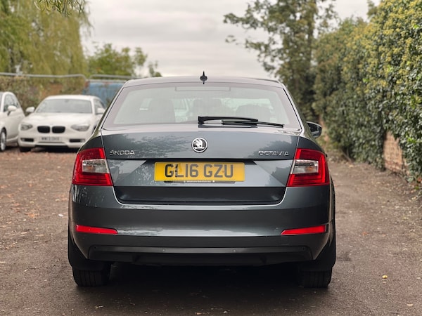 Used Skoda Octavia 2016 for sale - 76281059: Photo 6