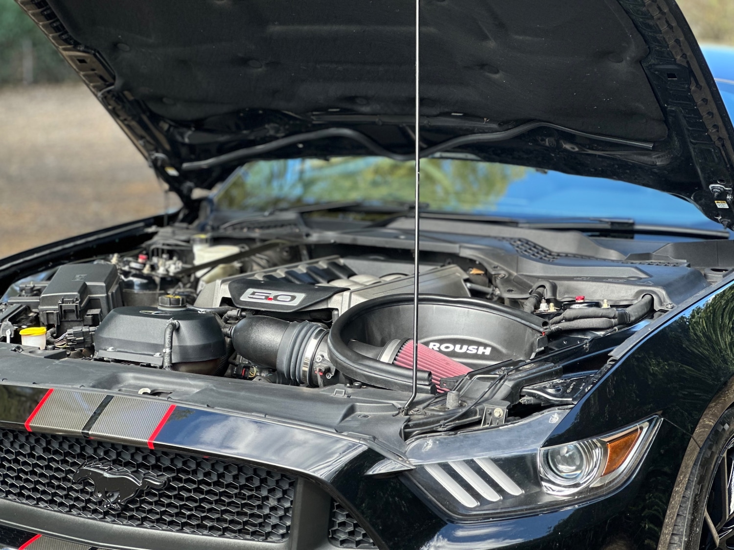 Used Ford Mustang 2016 for sale - 78085112: Photo 11