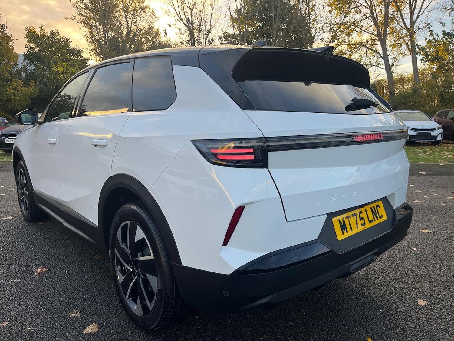 Used Vauxhall Grandland 2025 for sale - 76340570: Photo 35