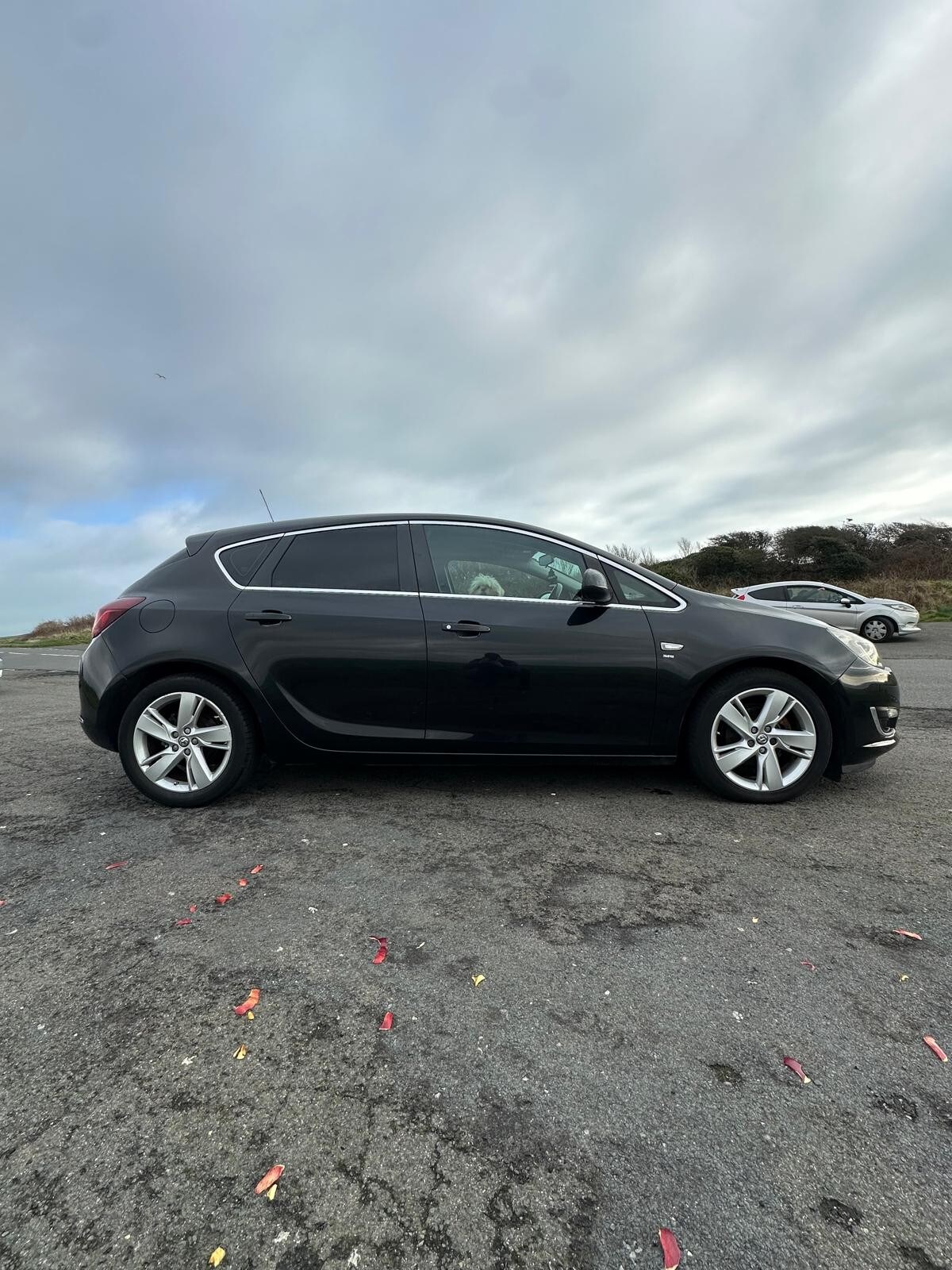 Used Vauxhall Astra 2015 for sale - 78124864: Photo 9