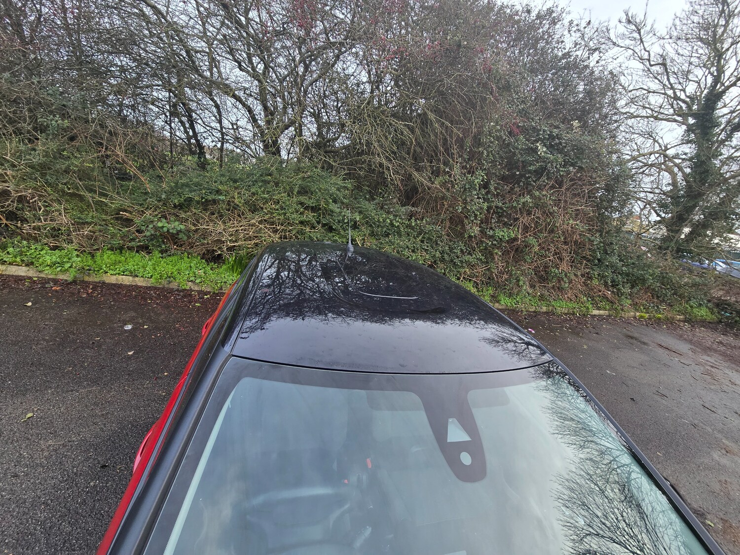 Used Citroen C3 for sale - 77743476: Photo 38