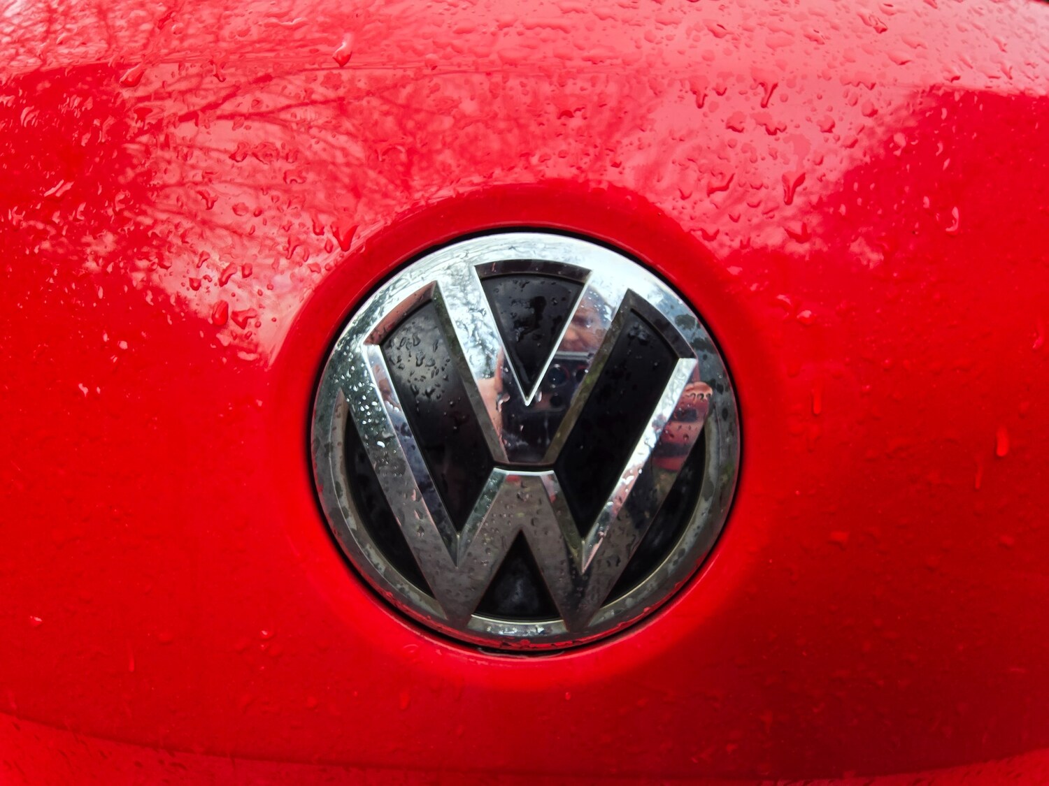 Used Volkswagen Polo for sale - 77743470: Photo 14