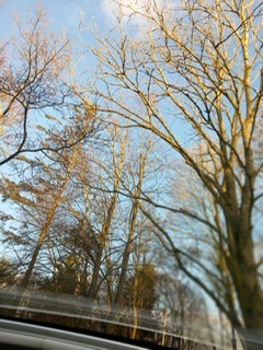 Used Peugeot 308 2014 for sale - 77071138: Photo 11