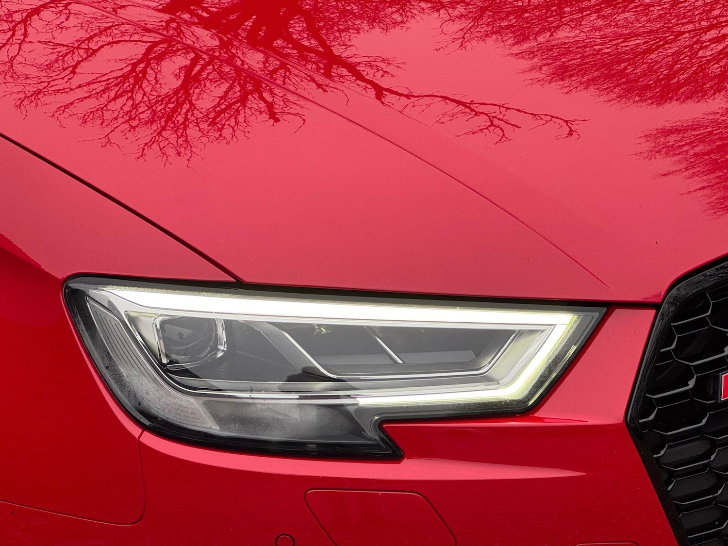 Used Audi RS3 2019 for sale - 77214872: Photo 22