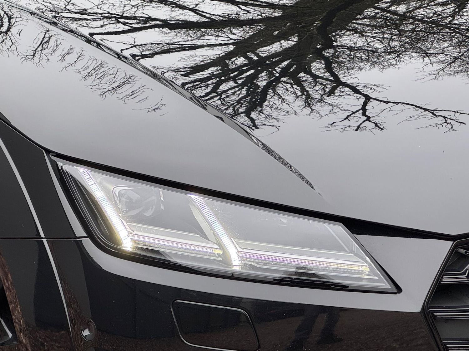 Used Audi TTS 2023 for sale - 77559569: Photo 22