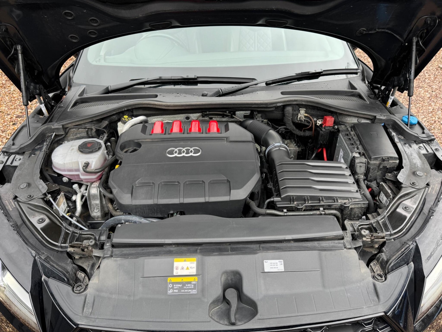 Used Audi TTS 2023 for sale - 77559569: Photo 42