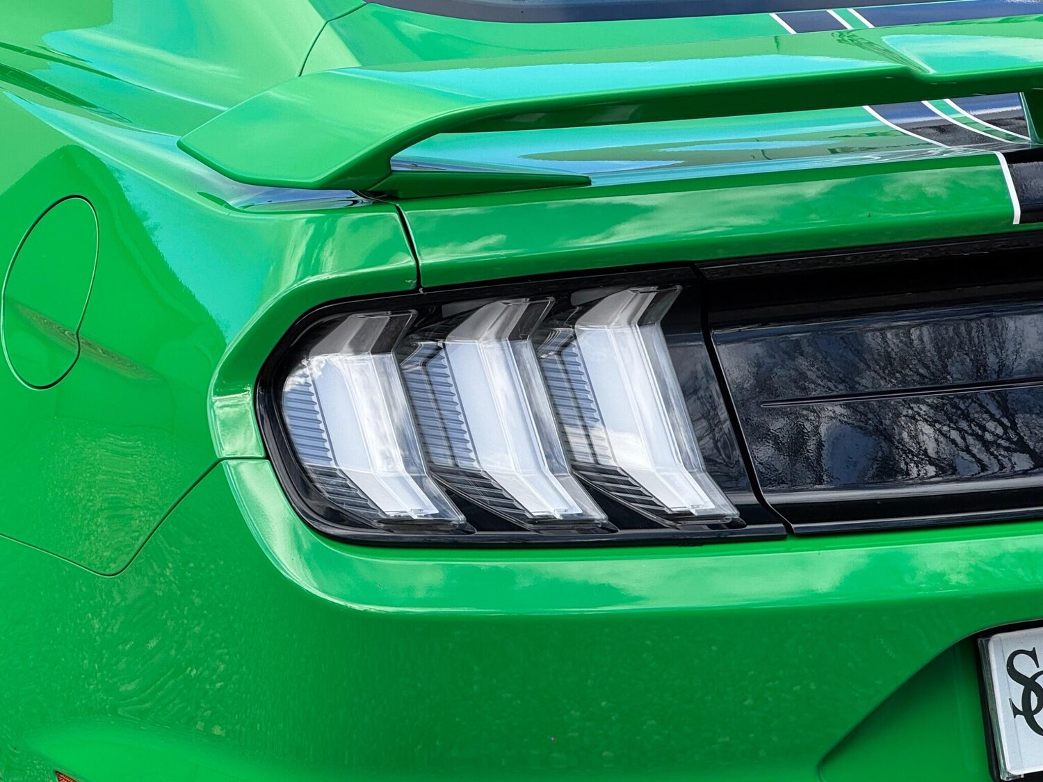 Used Ford Mustang 2019 for sale - 77633200: Photo 37