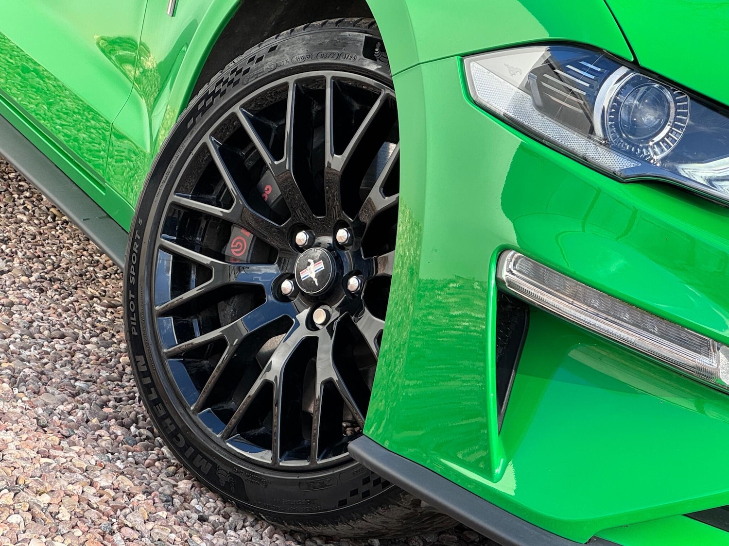 Used Ford Mustang 2019 for sale - 77633200: Photo 5