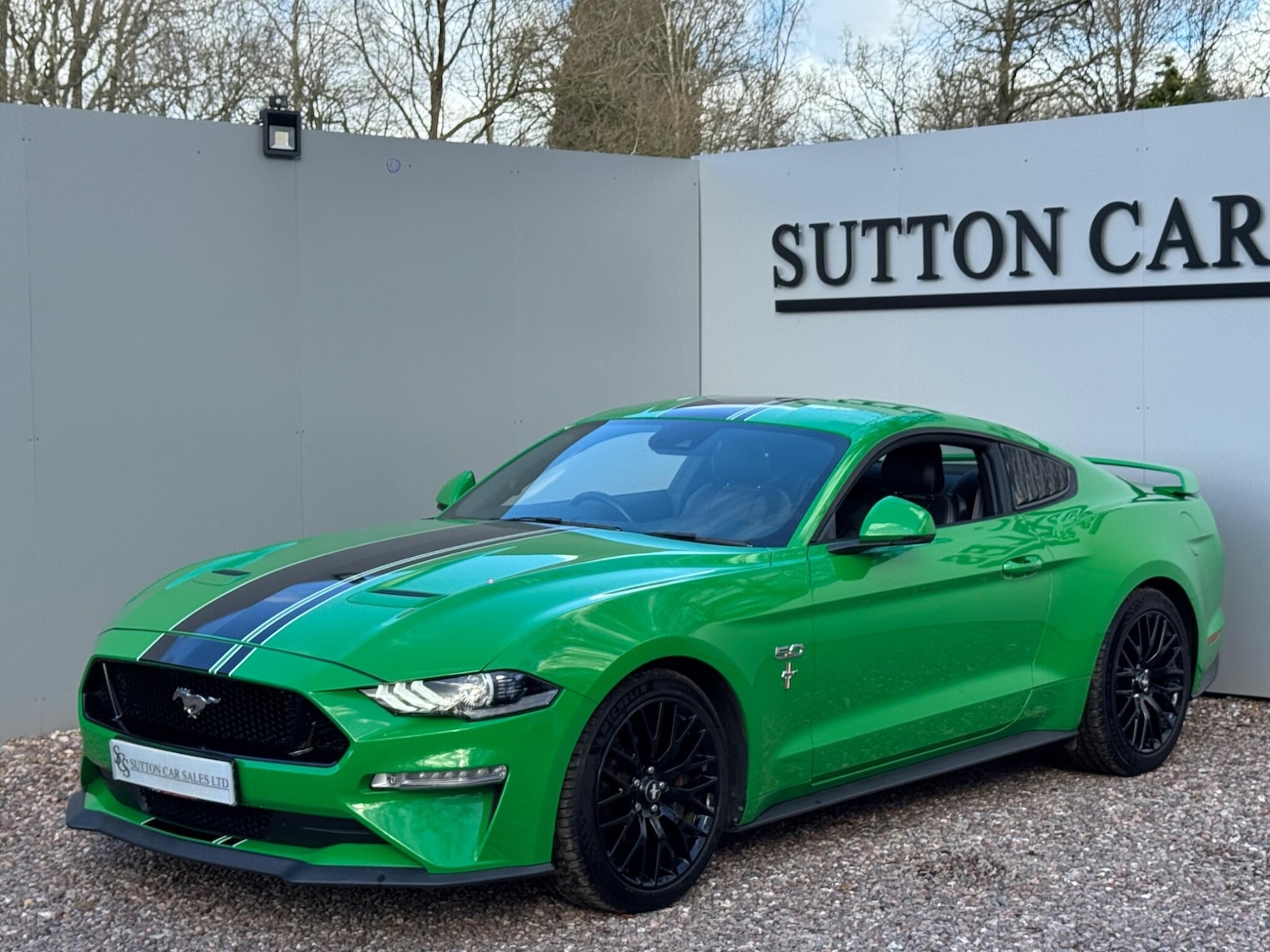 Used Ford Mustang 2019 for sale - 77633200: Photo 6