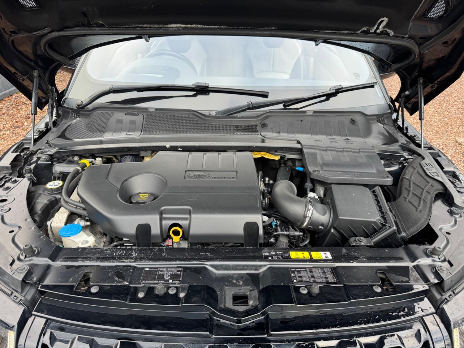 Used Land Rover Range Rover Evoque for sale - 77611742: Photo 39