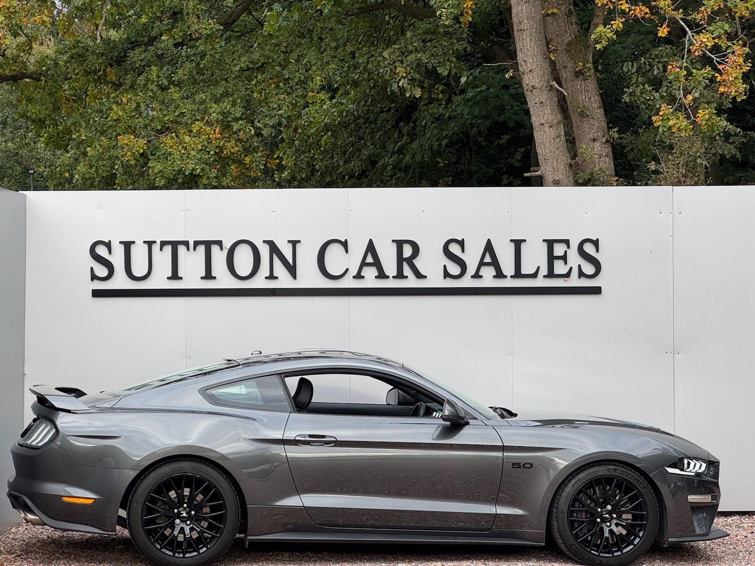 Used Ford Mustang 2019 for sale - 76109385: Photo 2