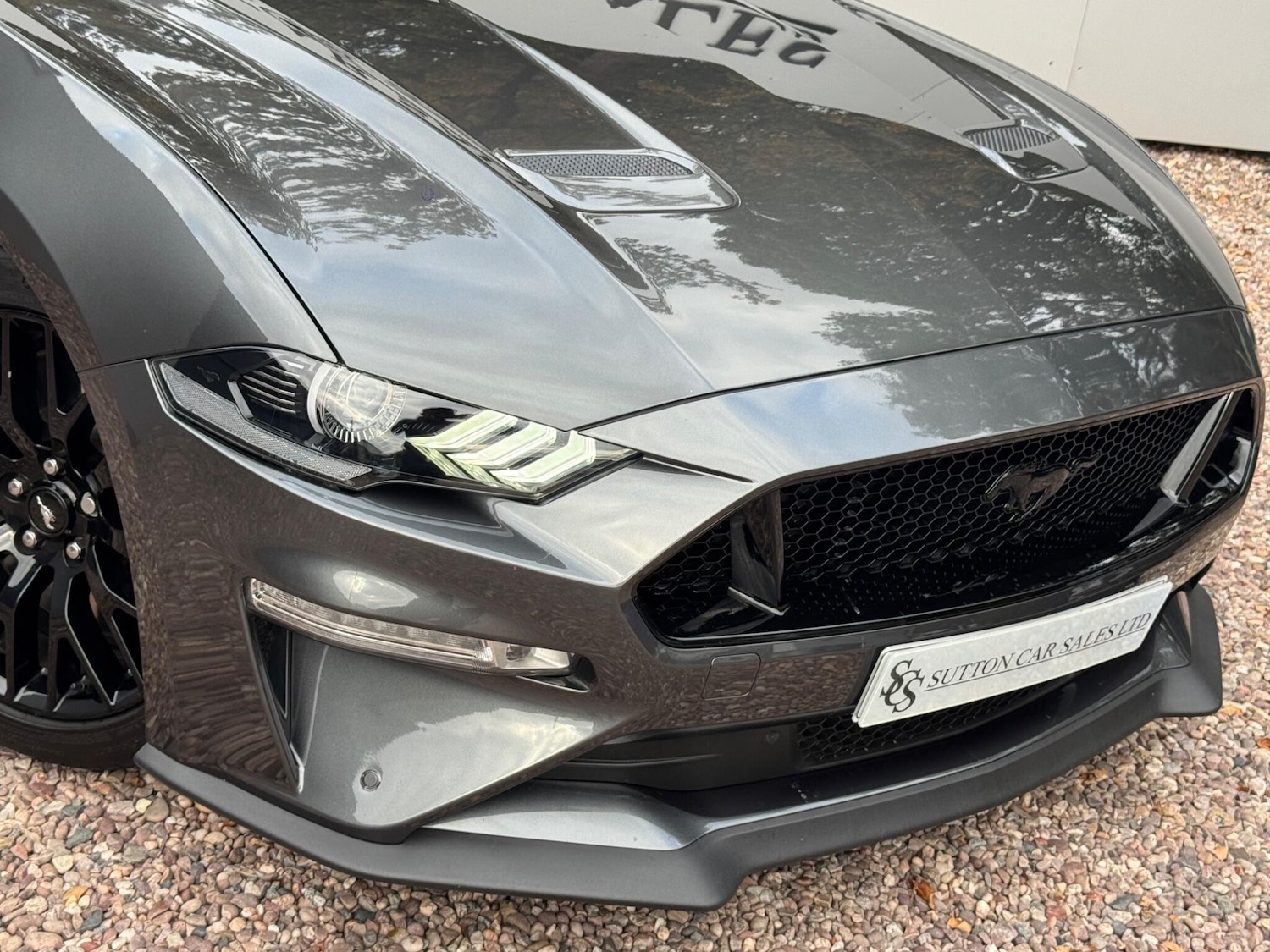 Used Ford Mustang 2019 for sale - 76109385: Photo 21