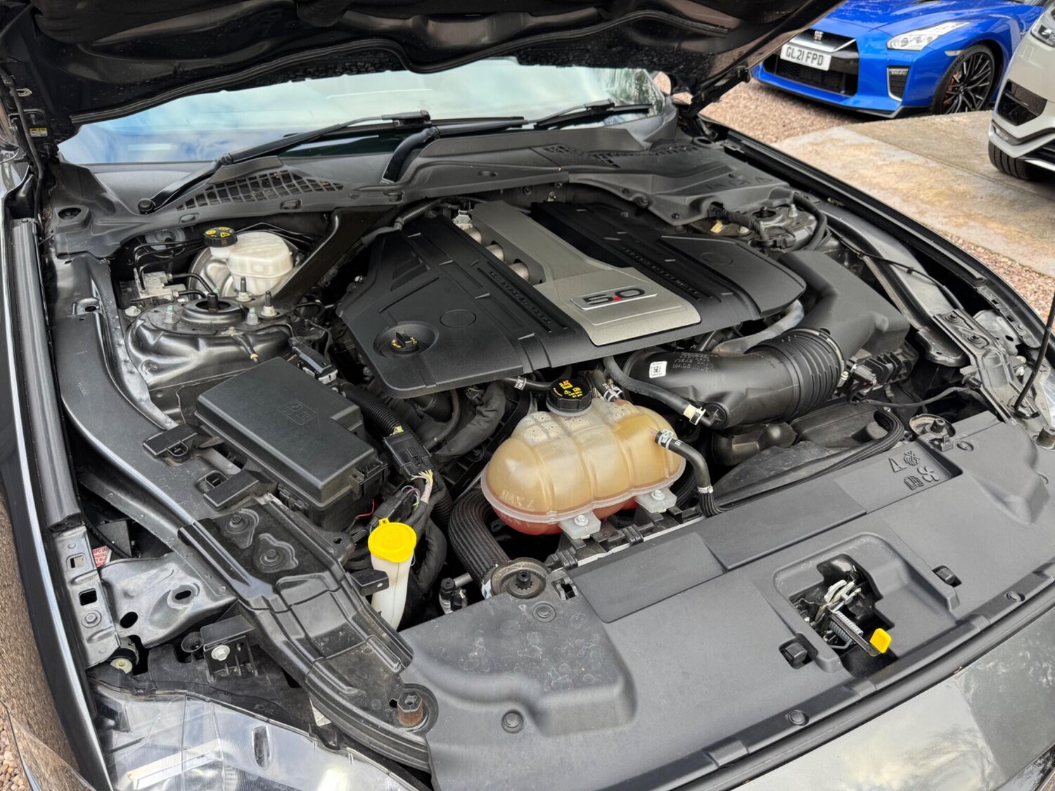 Used Ford Mustang 2019 for sale - 76109385: Photo 40