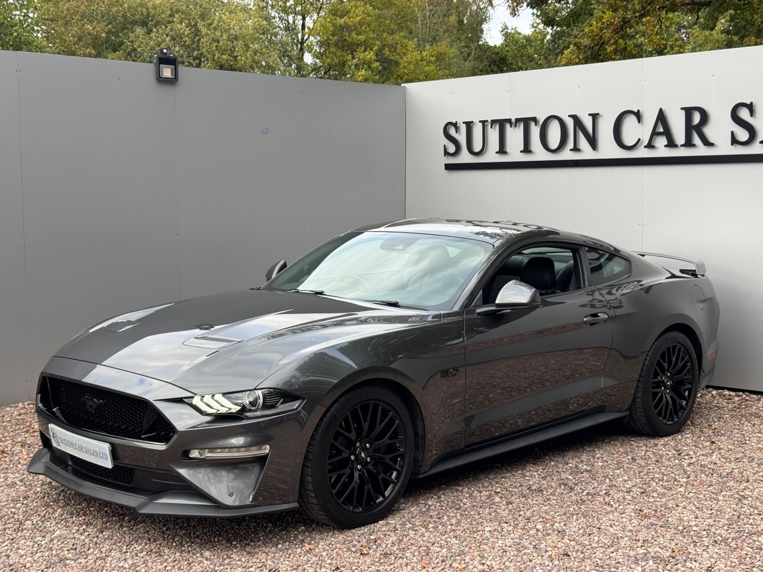 Used Ford Mustang 2019 for sale - 76109385: Photo 6