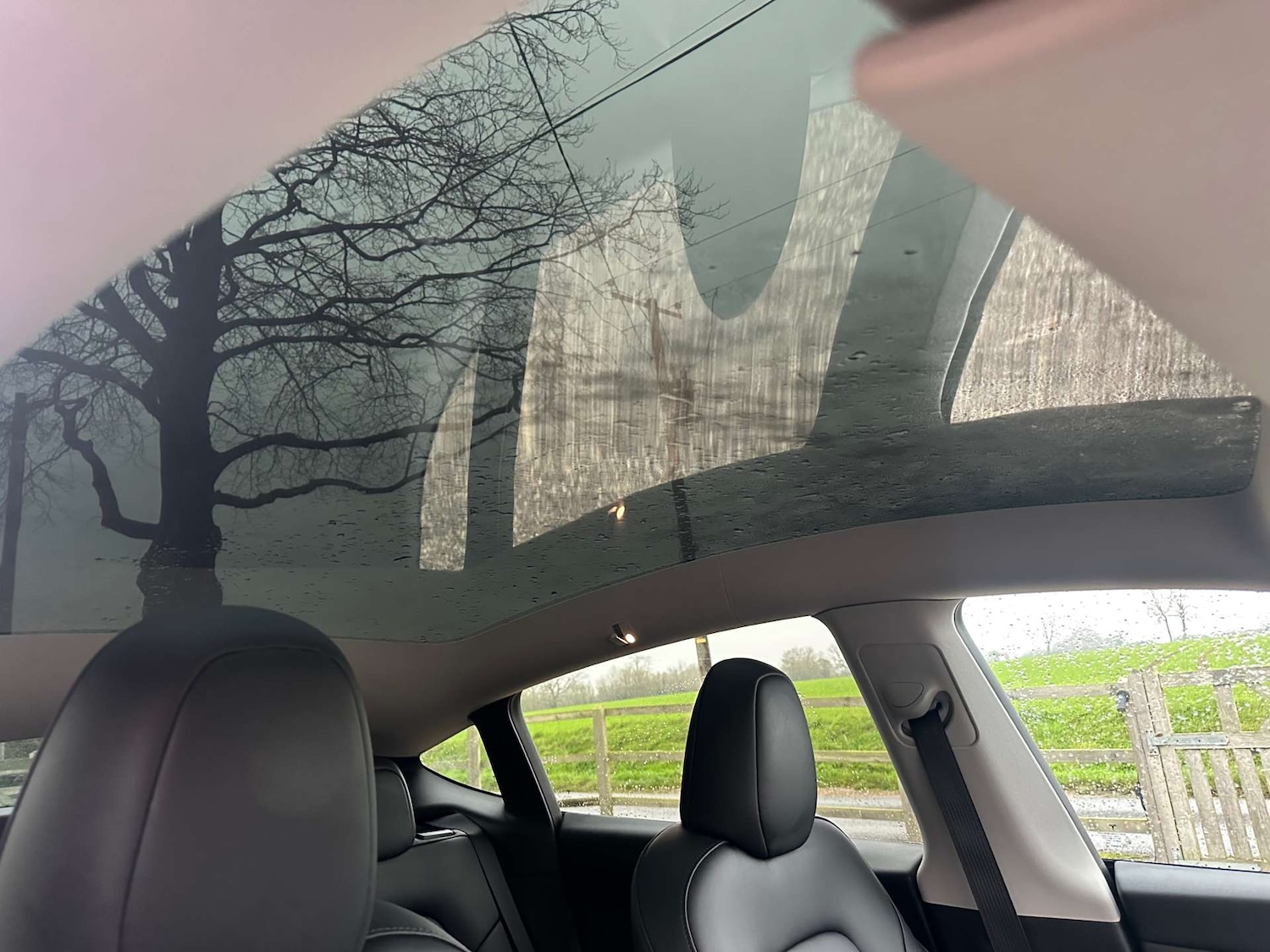 Used Tesla Model Y 2022 for sale - 77022582: Photo 19