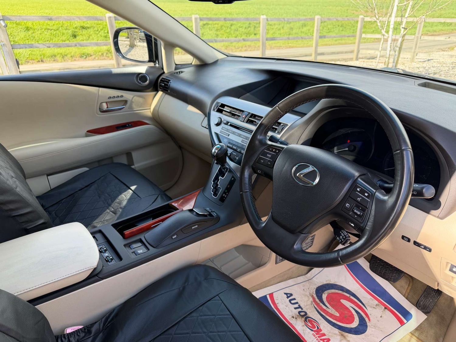 Used Lexus RX 2010 for sale - 78070981: Photo 17