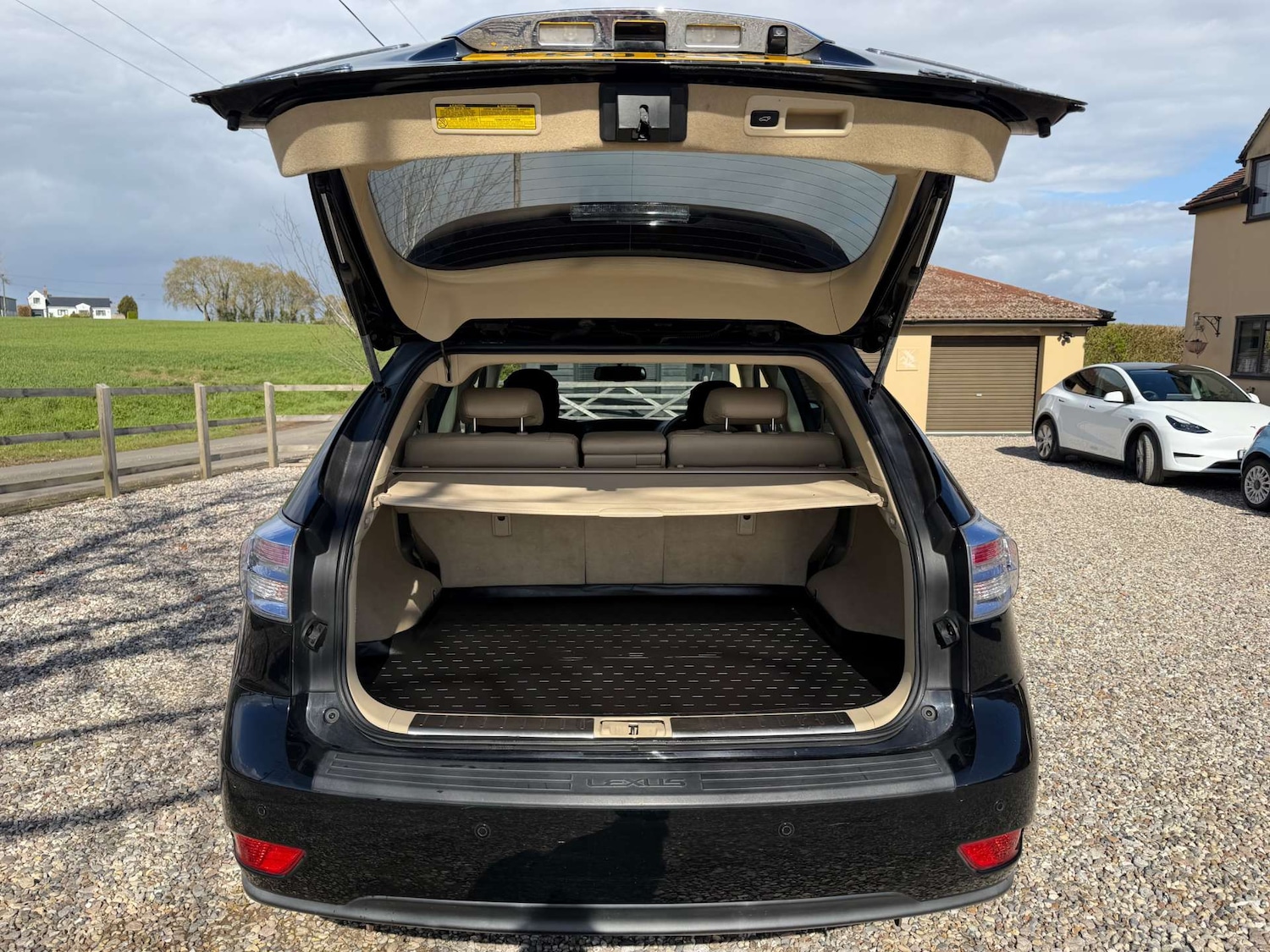 Used Lexus RX 2010 for sale - 78070981: Photo 9