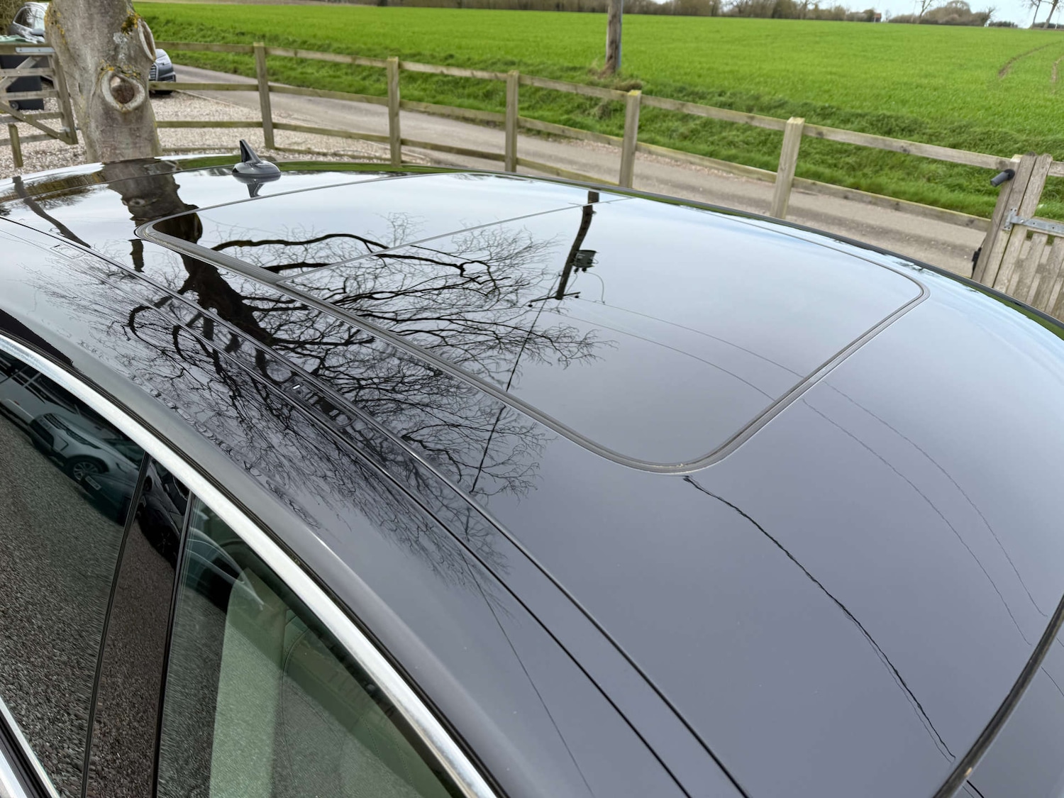 Used Maserati Levante 2021 for sale - 77880441: Photo 12