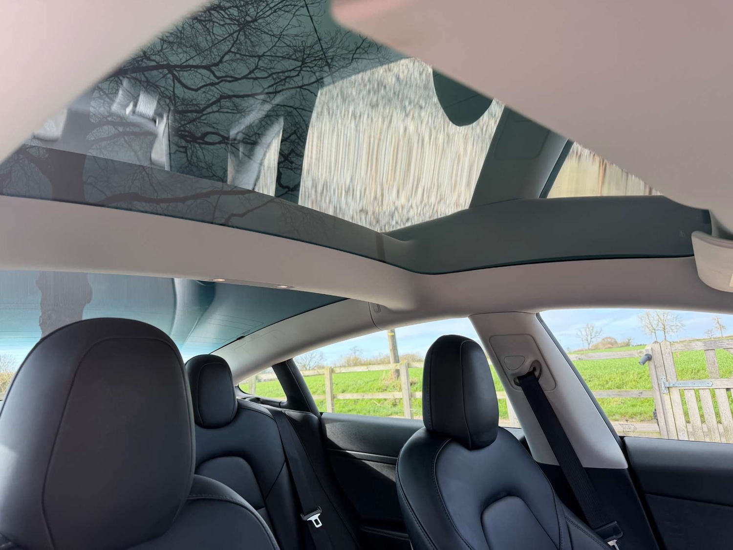 Used Tesla Model 3 2021 for sale - 77734967: Photo 20