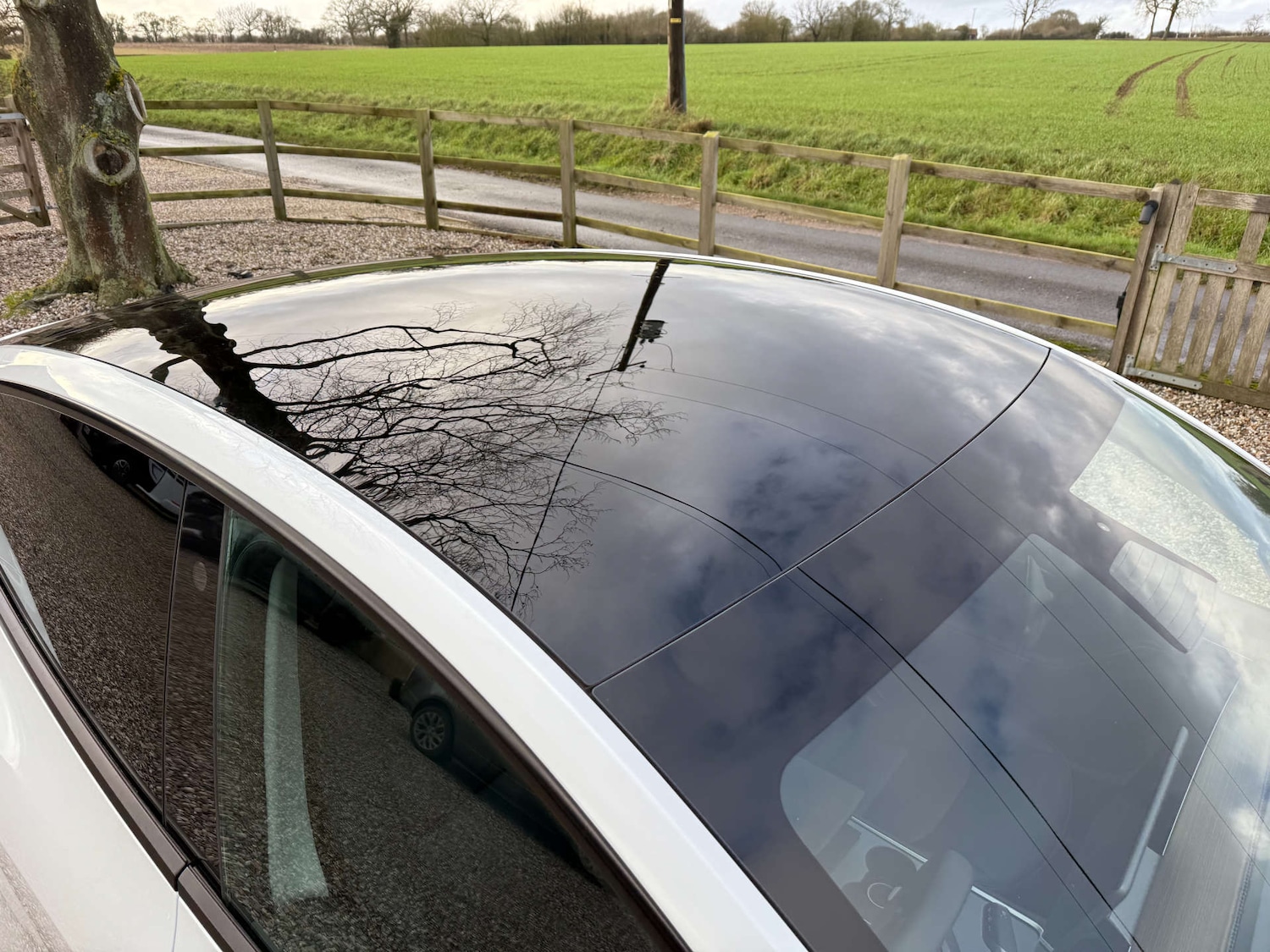 Used Tesla Model Y 2023 for sale - 77383366: Photo 12