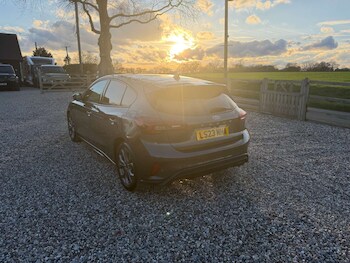 Used Ford Focus 2023 for sale - 77822590: Photo