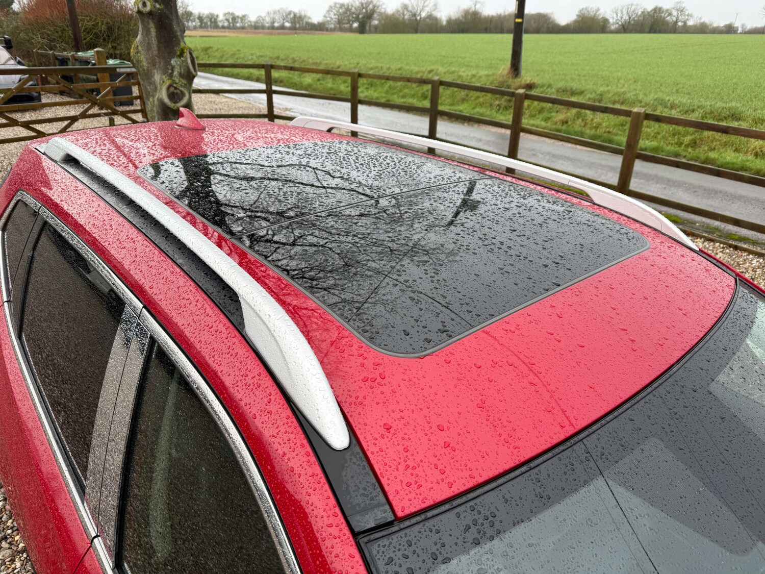 Used Nissan X-Trail 2021 for sale - 77479618: Photo 12