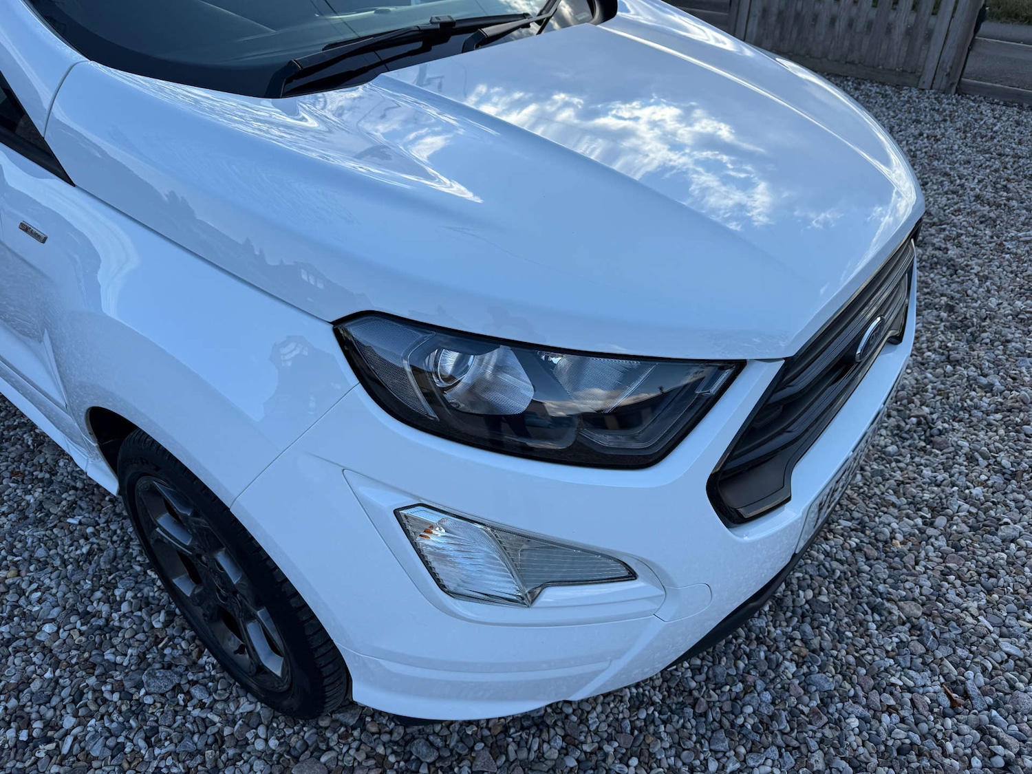 Used Ford Ecosport 2022 for sale - 76277897: Photo 11