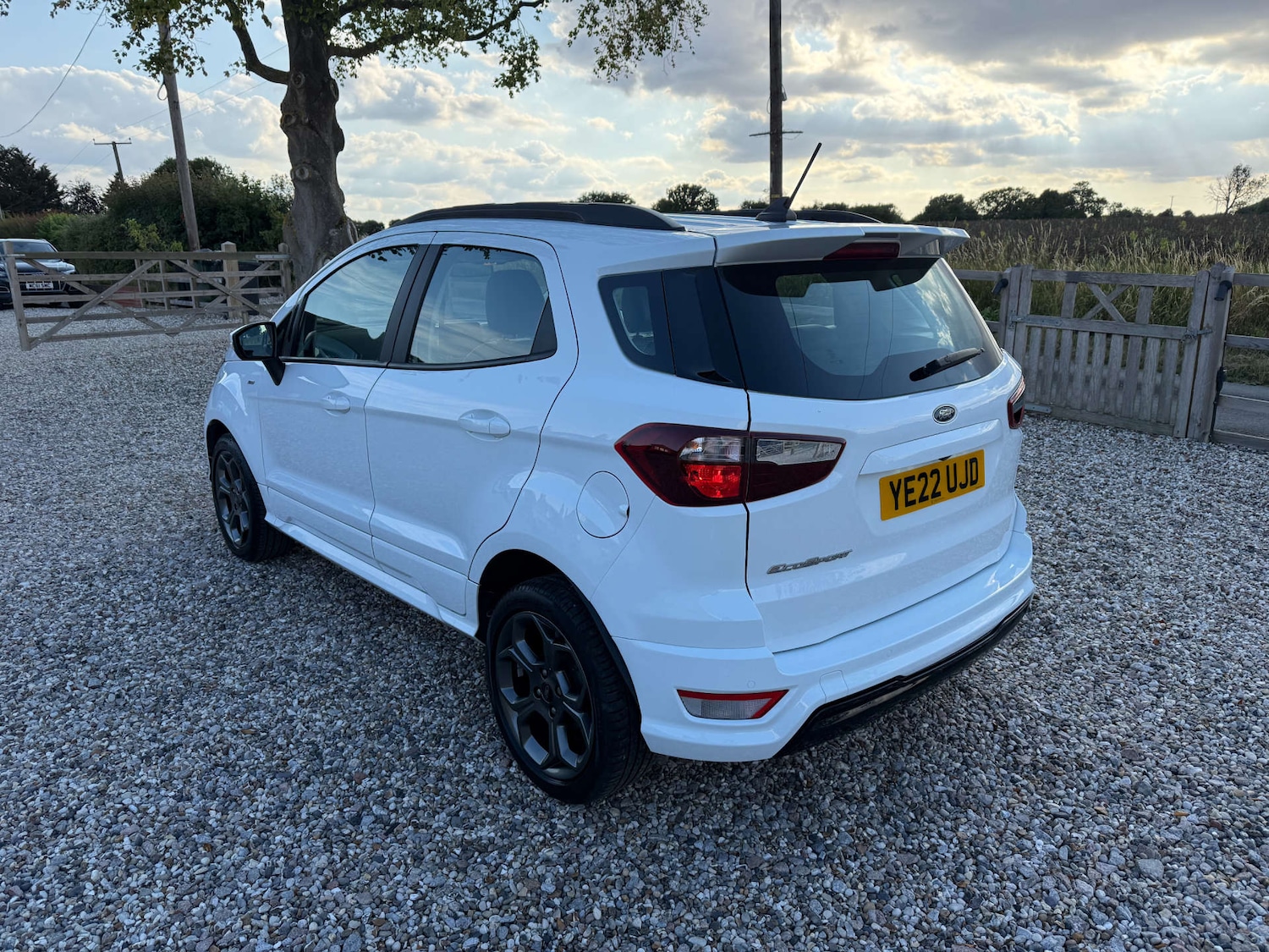 Used Ford Ecosport 2022 for sale - 76277897: Photo 3