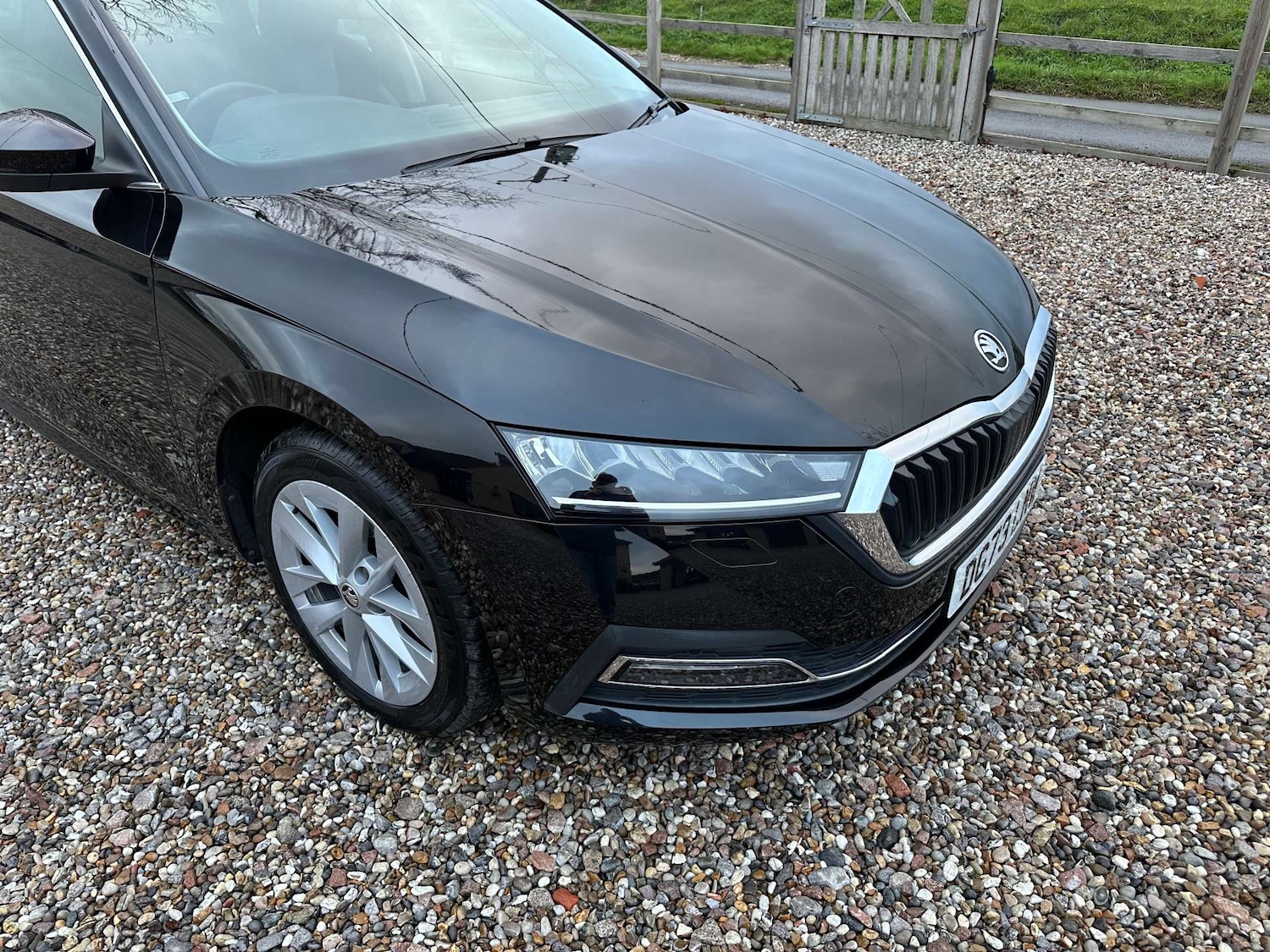 Used Skoda Octavia 2023 for sale - 76686681: Photo 12