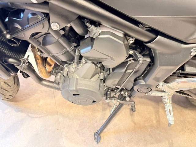 Used Triumph TRIDENT 660 2024 for sale - 78782233: Photo 15