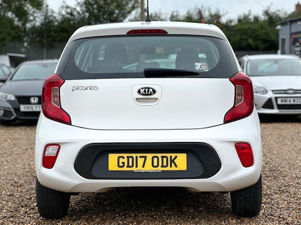 Used Kia Picanto 2017 for sale - 76021020: Photo 11