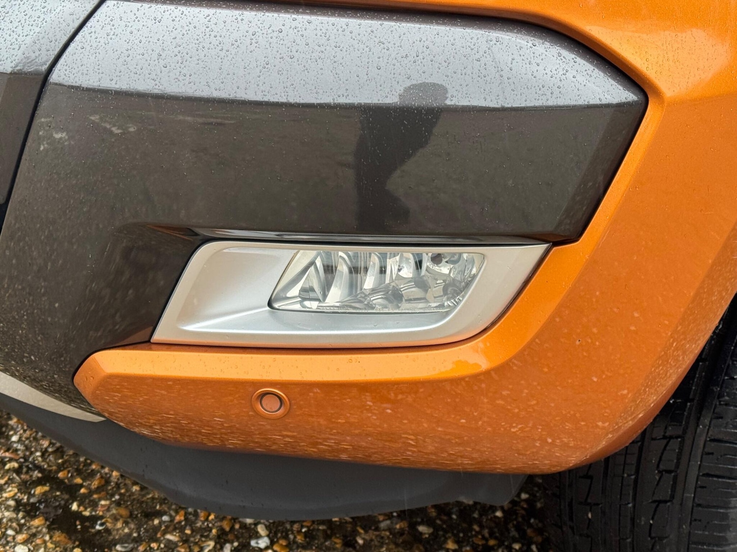 Used Ford Ranger 2019 for sale - 77215145: Photo 47