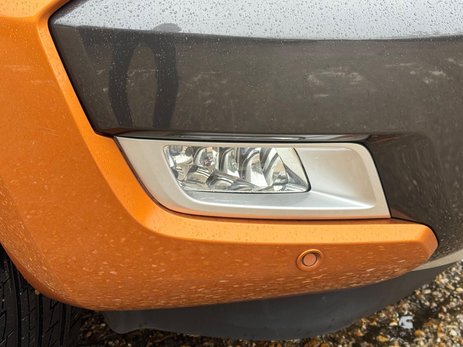 Used Ford Ranger 2019 for sale - 77215145: Photo 48