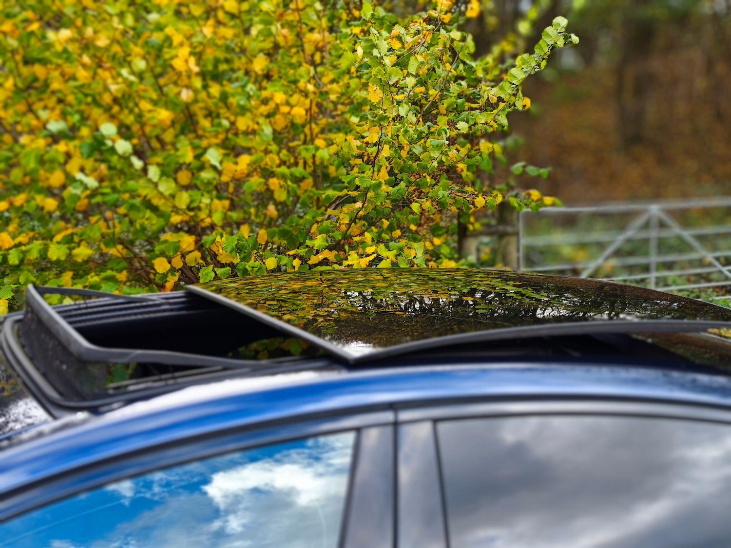 Used Jaguar XE 2016 for sale - 76432894: Photo 10